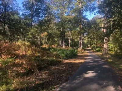 Piste cyclable en forêt de Rambouillet pour profiter des couleurs de l'automne / © Steve Stillman pour Enlarge your Paris