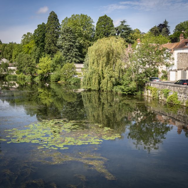La Scandiberique entre Fontainebleau et Dammarie-les-Lys / © Jérômine Derigny pour Enlarge your Paris
