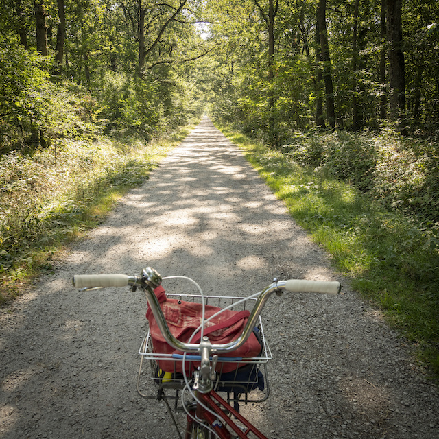 La Véloscénie entre Versailles et Rambouillet / © Jérômine Derigny pour Enlarge your Paris