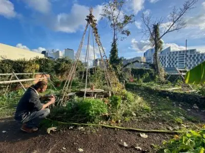 Nicolas Voisin anime des ateliers de jardinage sur le site de Vive les Groues à Nanterre / Mélanie Rostagnat