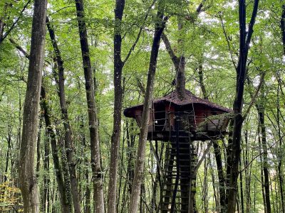 L'une des deux cabanes installées dans les arbres à Janville-sur-Juine / © Steve Stillman pour Enlarge your Paris