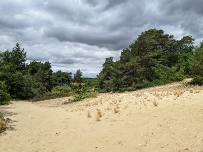 La Traversée des sables / © Rémi Belot pour Enlarge your Paris