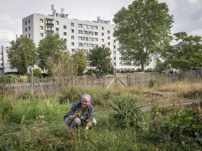 L'ethnobotaniste Valentine Diguet dans le Potager de la Reine au Moulin Fayvon à La Courneuve / © Jérômine Derigny pour Enlarge your Paris