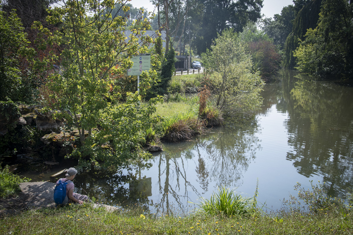 Le parc du Lac du Haut du Roy à Sarcelles / © Jérômine Derigny pour Enlarge your Paris