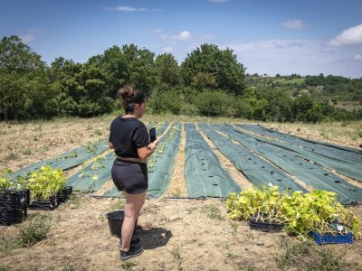 Sarah Pégorier, maraîchère, est installée sur un espace test agricole du 100e Singe à Toulouse / © Jérômine Derigny pour Enlarge your Paris