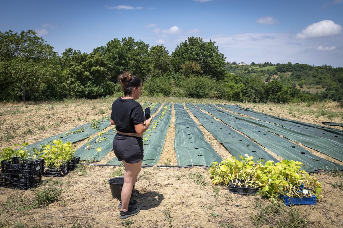 Sarah Pégorier, maraîchère, est installée sur un espace test agricole du 100e Singe à Toulouse / © Jérômine Derigny pour Enlarge your Paris