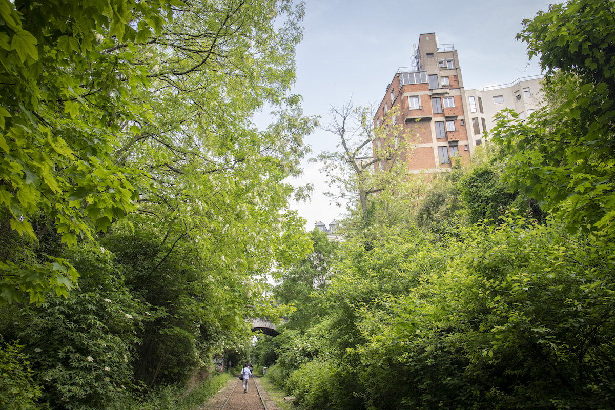 La Petite Ceinture dans le 14e au niveau de la rue Didot / © Jérômine Derigny pour Enlarge your Paris