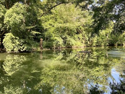 Les bords de l'Yerres / © Vianney Delourme pour Enlarge your Paris
