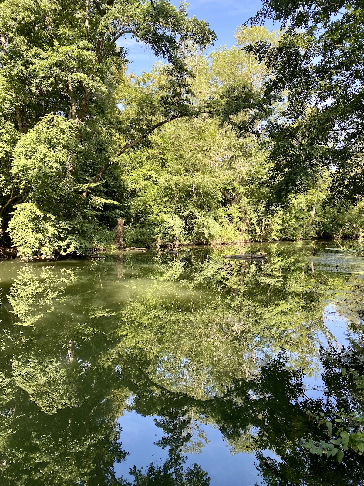 Les bords de l'Yerres / © Vianney Delourme pour Enlarge your Paris