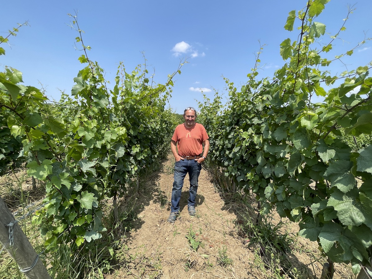 Pierric Petit au milieu de ses vignes du Domaine des coteaux du Montguichet à Chelles en Seine-et-Marne / © Virginie Jannière pour Enlarge your Paris