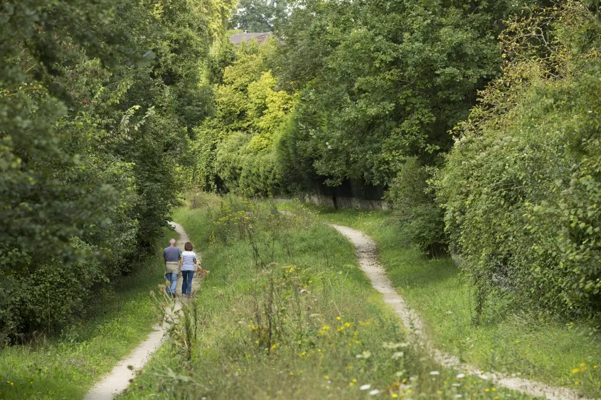 Promenade de la Dhuis / © Île-de-France nature