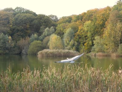 La forêt de Meudon, la forêt la plus proche de Paris / © Virginie Jannière pour Enlarge your Paris