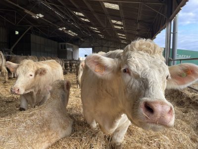La ferme du campus Bougainville à Brie-Comte-Robert / © Virginie Jannière pour Enlarge your Paris