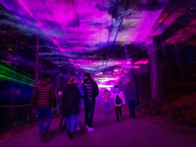 « Lumières en Seine » dans le parc de Saint-Cloud / © Lumières en Seine