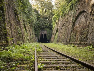 La Petite Ceinture, ici dans le 14e arrondissement, fait l'objet, du 30 avril au 9 juin, d'une exposition sur les grilles de l'Hôtel de Ville à Paris à partir des clichés de la photographe Jérômine Derigny / © Jérômine Derigny
