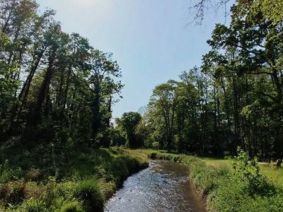 Le parc naturel de la Haute Vallée de Chevreuse / @dans_l_indifference_des_km