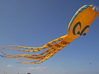 La 1ère édition du festival 