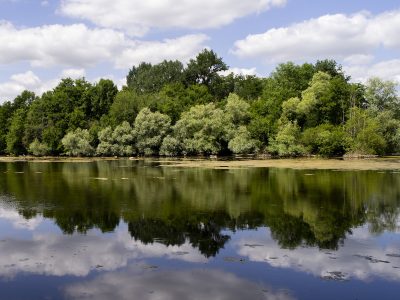 La Marne du côté de Meaux / @ Adrien Laplanche pour Enlarge your Paris