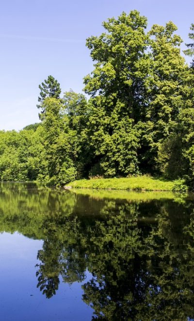 L'un des étangs de la forêt de Rambouillet / © Vianney Delourme pour Enlarge your Paris