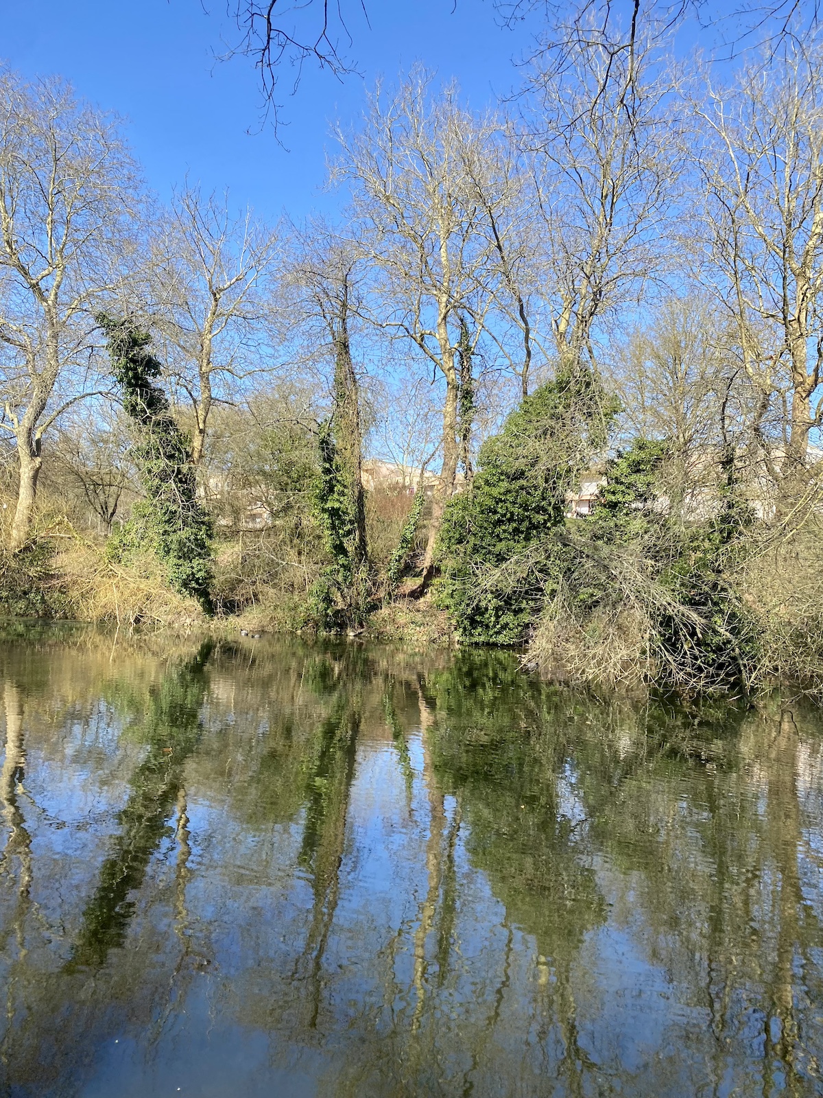 Les sources de la Bièvre / © Vianney Delourme pour Enlarge your Paris