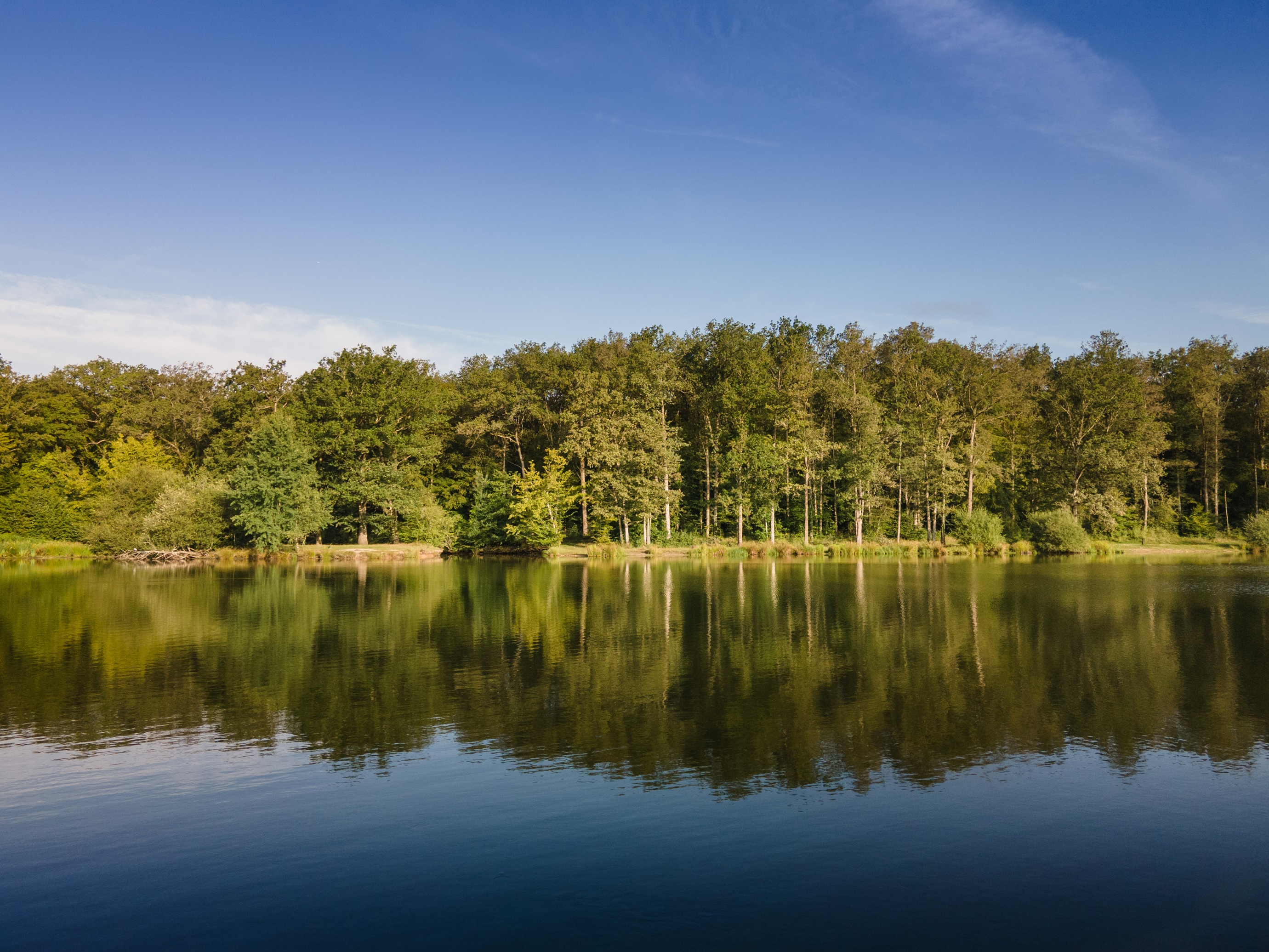 L'Etang d'or, à proximité immédiate du camping Huttopia Ramnbouillet. Un emplacement en forêt. Photo Manu Reyboz