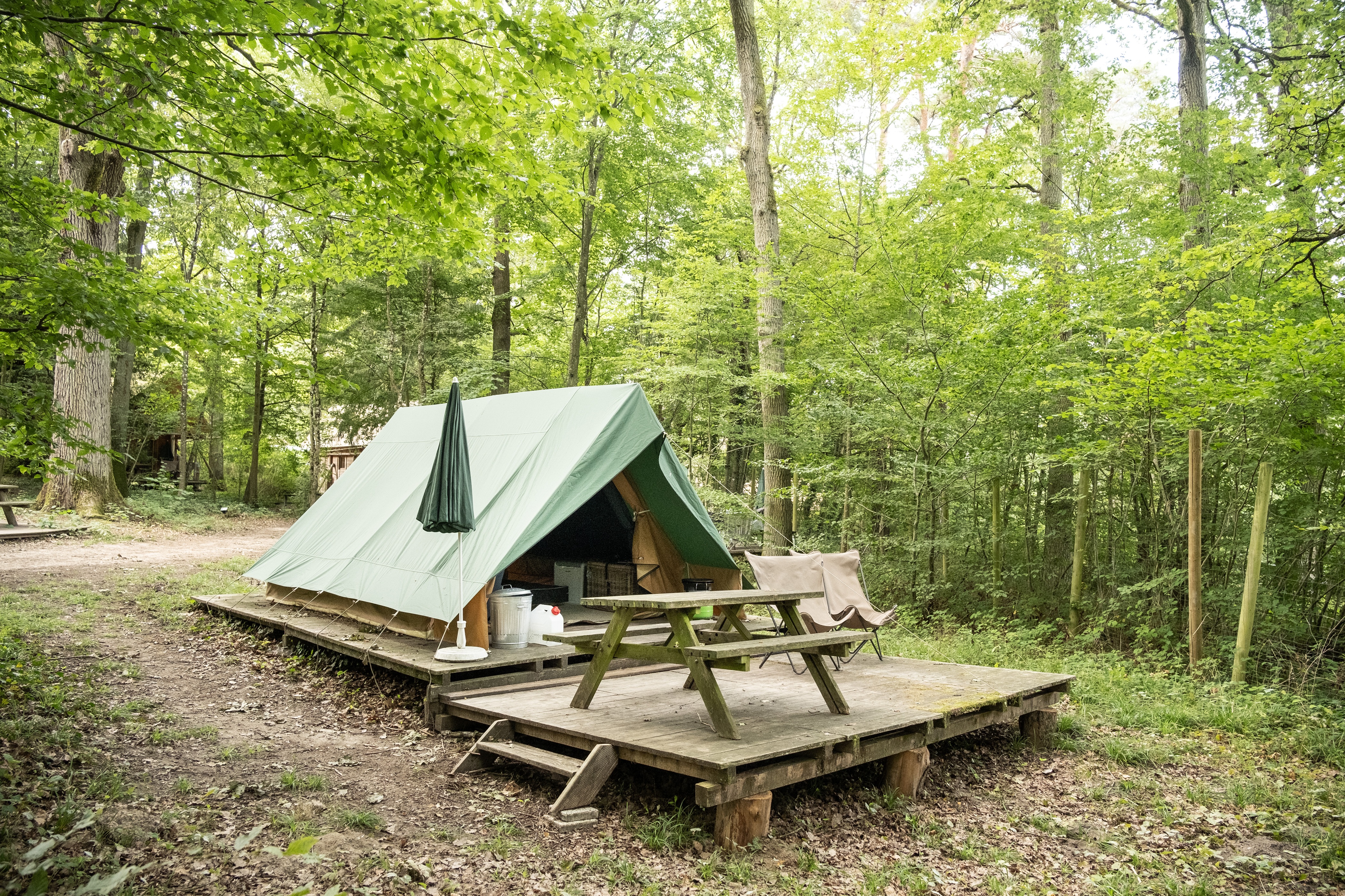 Un emplacement en forêt. photo Manu Reyboz