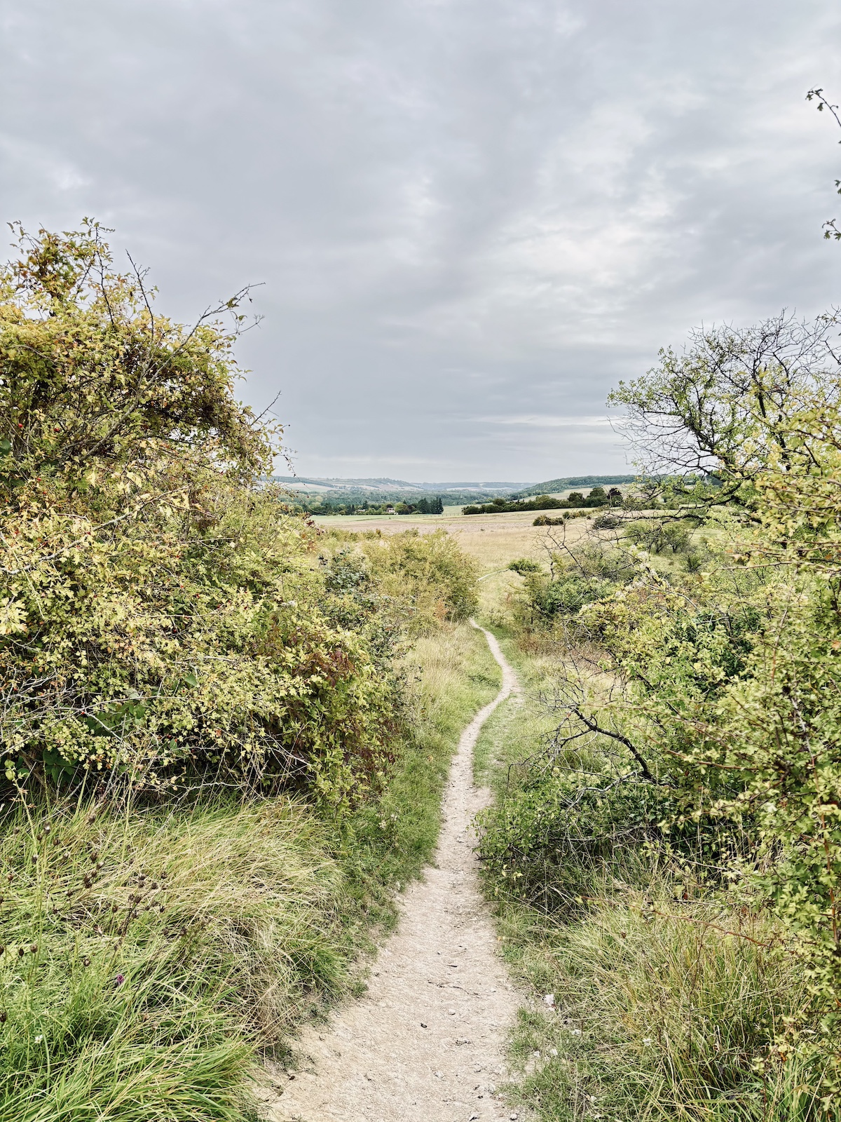 A travers le parc naturel du Vexin  / © Vianney Delourme pour Enlarge your Paris