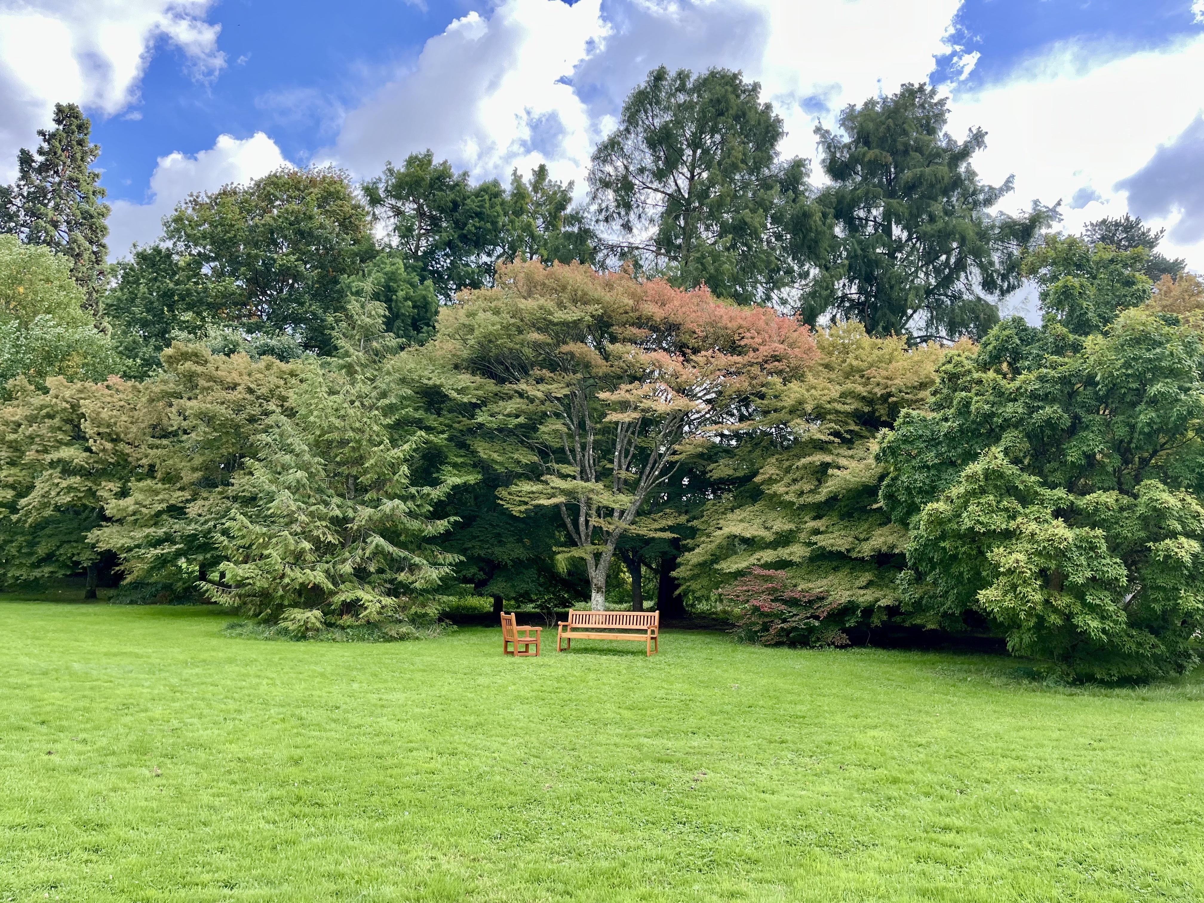 Le nouveau parc de la Roseraie / © Pauline de Quatrebarbes pour Enlarge your Paris