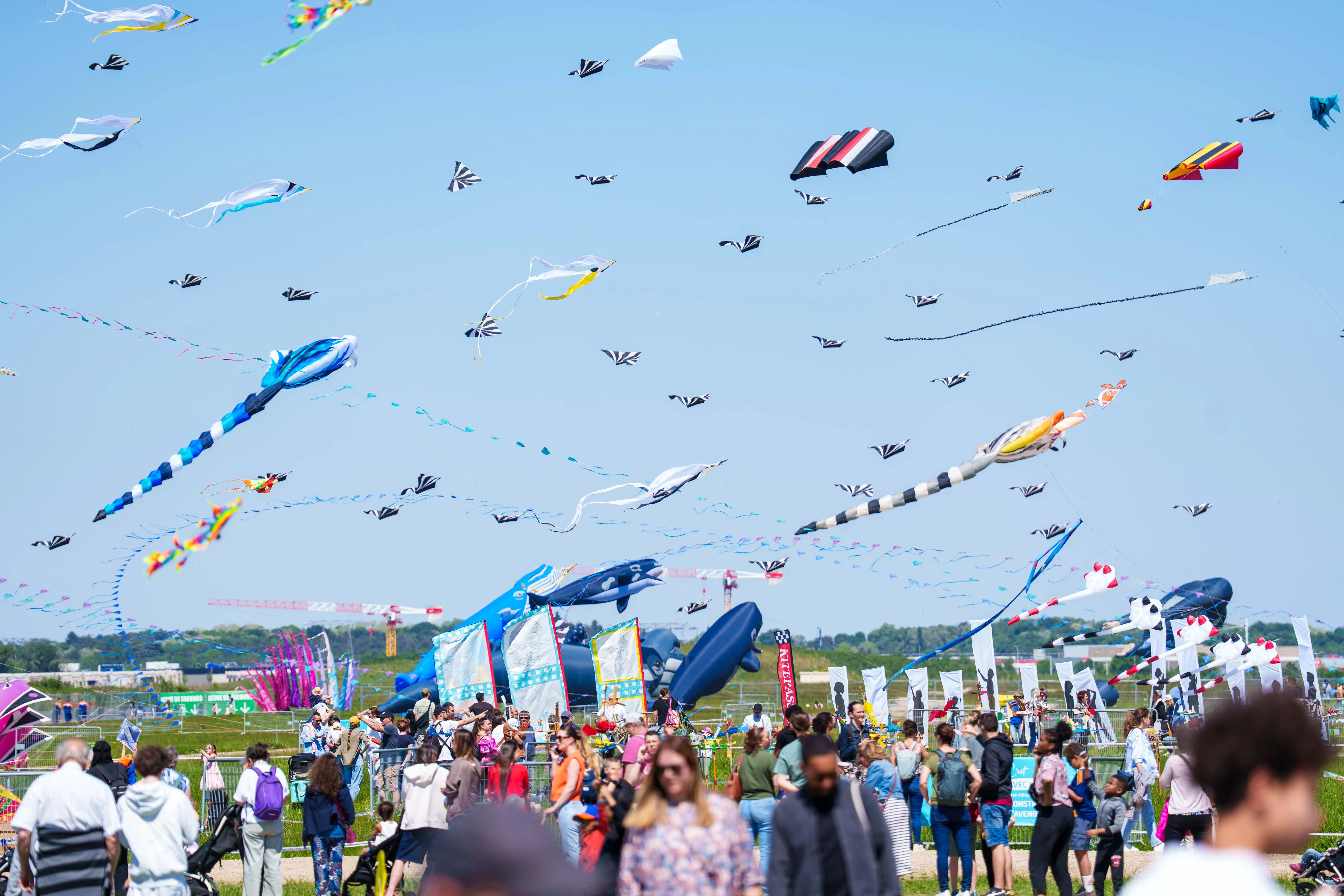 Festival Les Cœurs-Volants sur La Base 217