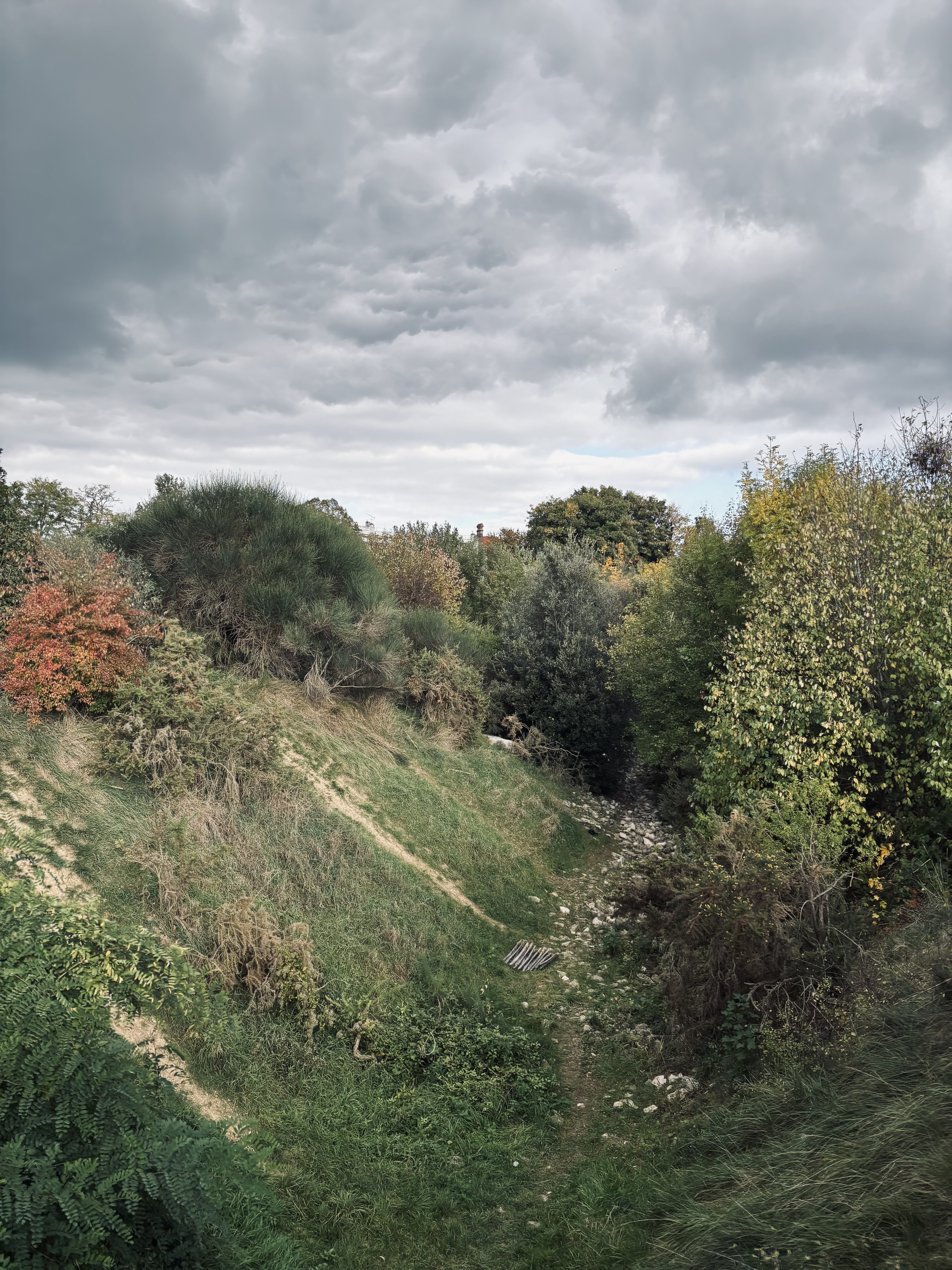 À Fontenay-sous-Bois, l'éco-parc des Carrières est une ancienne zone d'exploitation de gypse. Vianney Delourme pour Enlarge your Paris