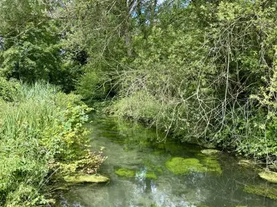 La cressonnière de Vincent Privat en Essonne. Vianney Delourme pour Enlarge your Paris