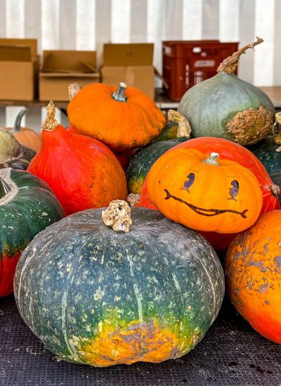 Cueillette et décoration de citrouilles pour Halloween. DR