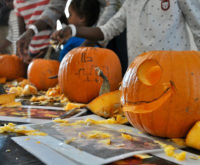 Cueillette et décoration de citrouilles pour Halloween. DR