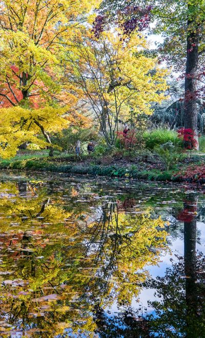 L'arboretum de la Vallée aux Loups. DR