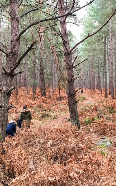 En forêt de Rambouillet. Steve Stillman pour Enlarge your Paris